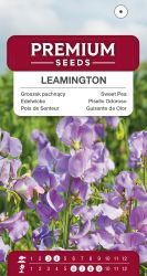 Sweet Pea Leamington Seed